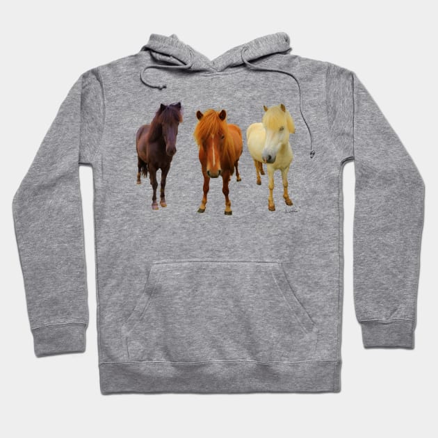 Three Icelandic horses Hoodie by AHelene